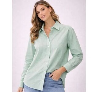 NWT Everlane The Button Down Cotton Oversized Shirt Mint Pinstripe